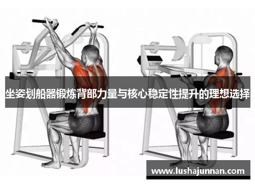 坐姿划船器锻炼背部力量与核心稳定性提升的理想选择