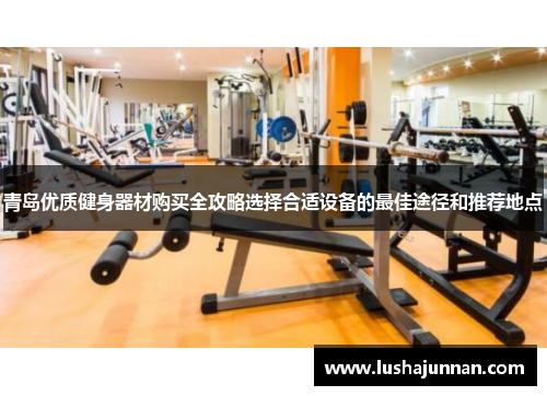 青岛优质健身器材购买全攻略选择合适设备的最佳途径和推荐地点