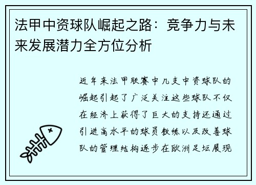 法甲中资球队崛起之路：竞争力与未来发展潜力全方位分析