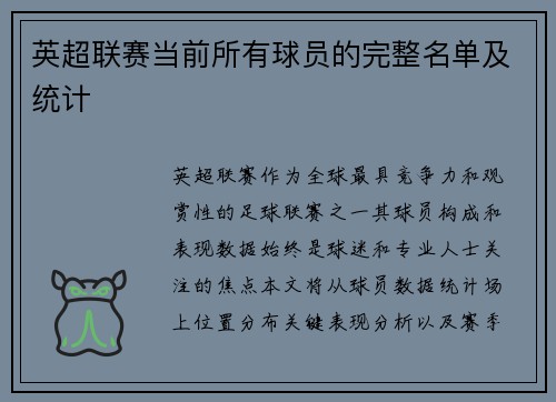 英超联赛当前所有球员的完整名单及统计